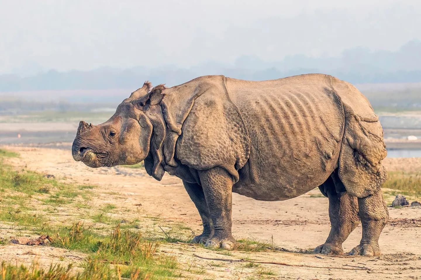 Chitwan National Park