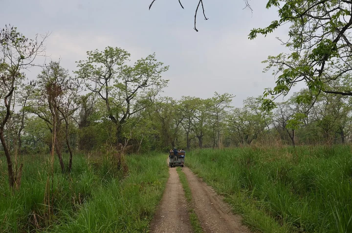 Jeep Safari