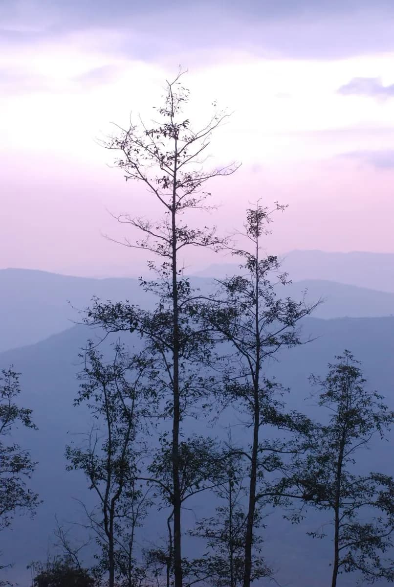Sarangkot